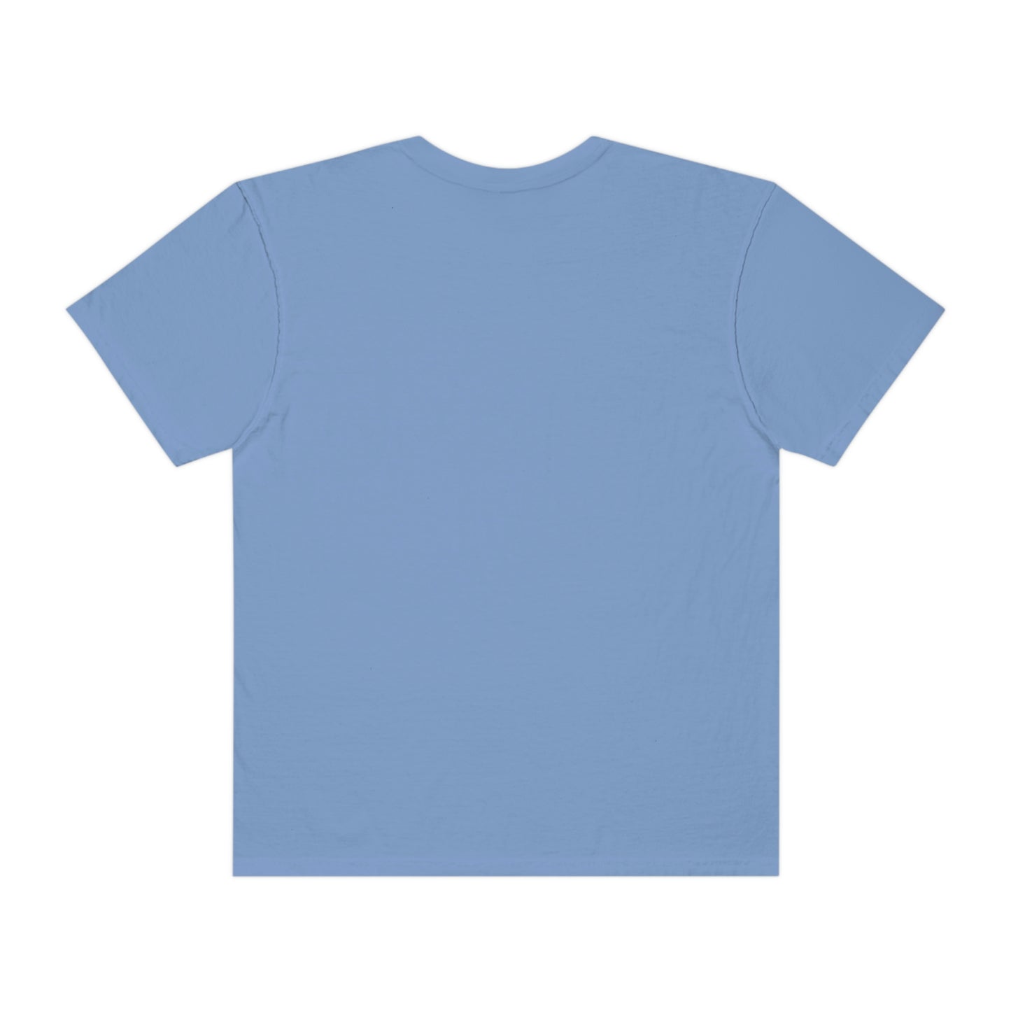 A Fantasy Book A Day Shirt | Comfort Colors