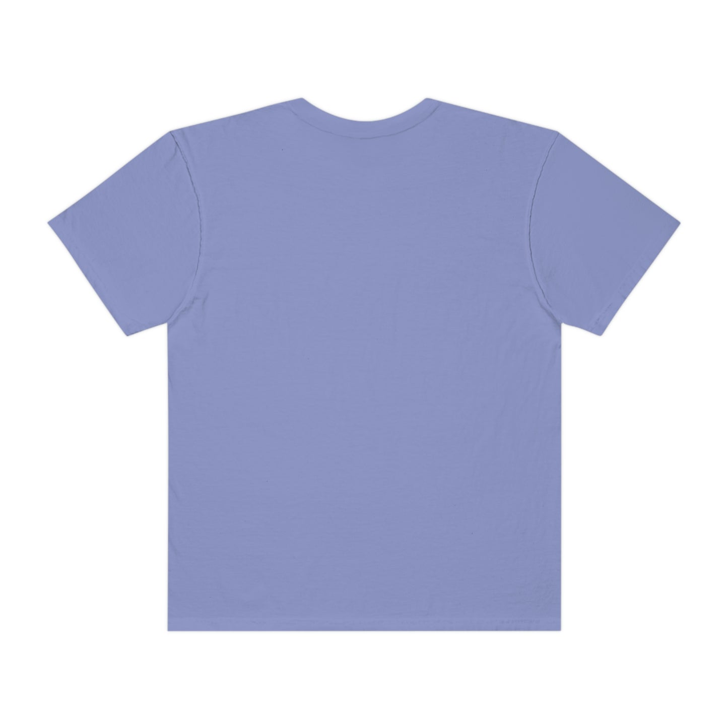 A Fantasy Book A Day Shirt | Comfort Colors