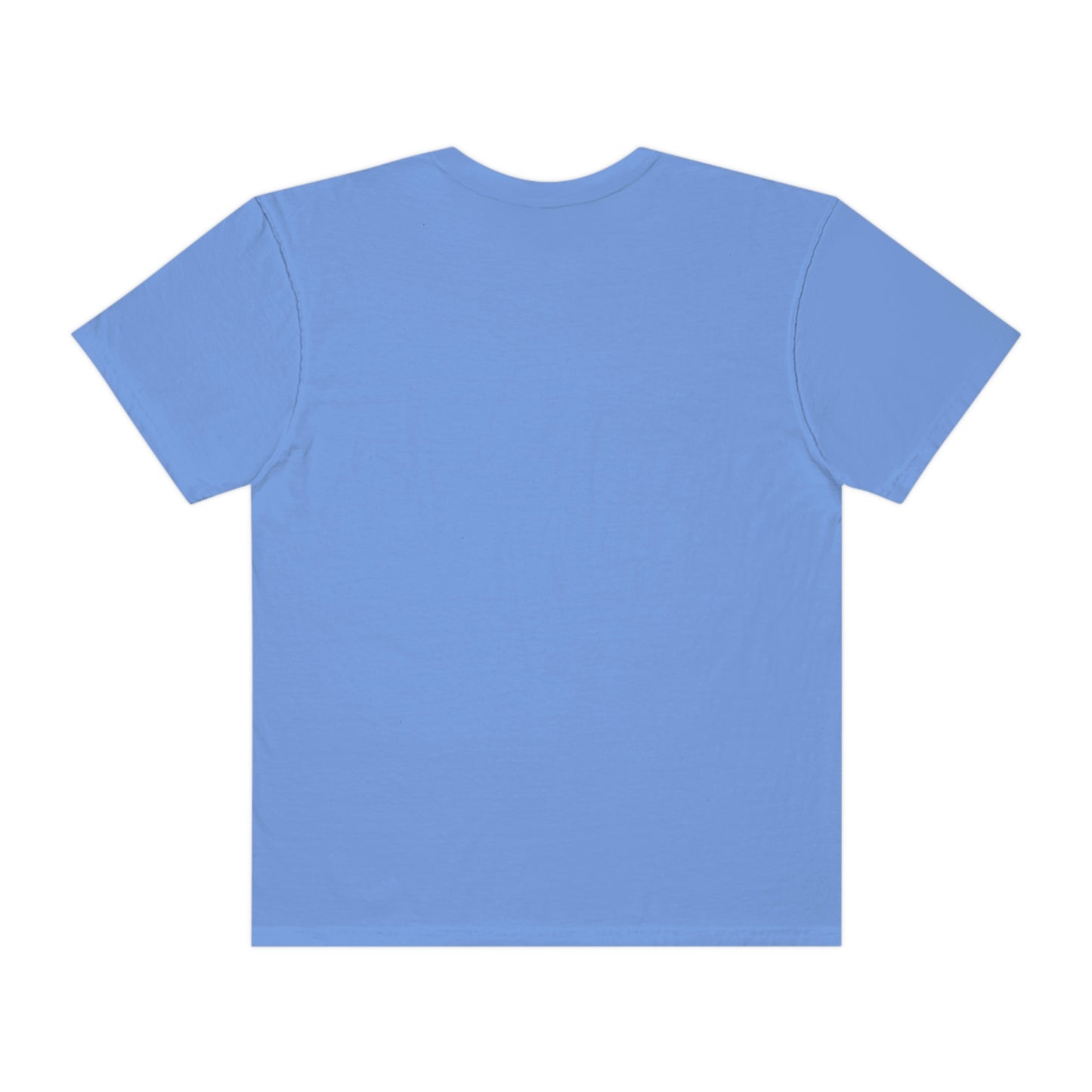 A Fantasy Book A Day Shirt | Comfort Colors